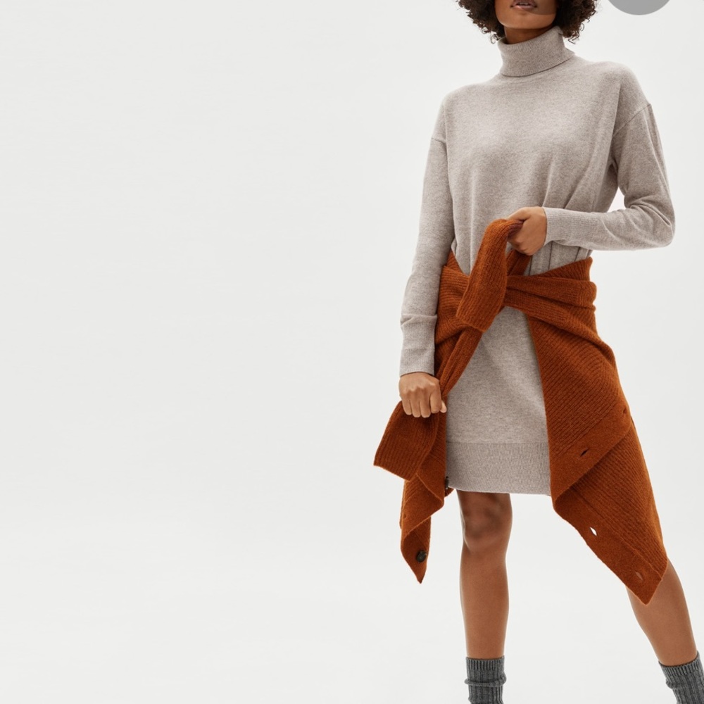 SOLD Everlane Cashmere Turtleneck Mini Dress Gray - Picture 1 of 6